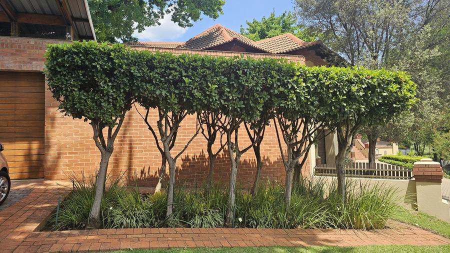 Planted walk with seasonal colour