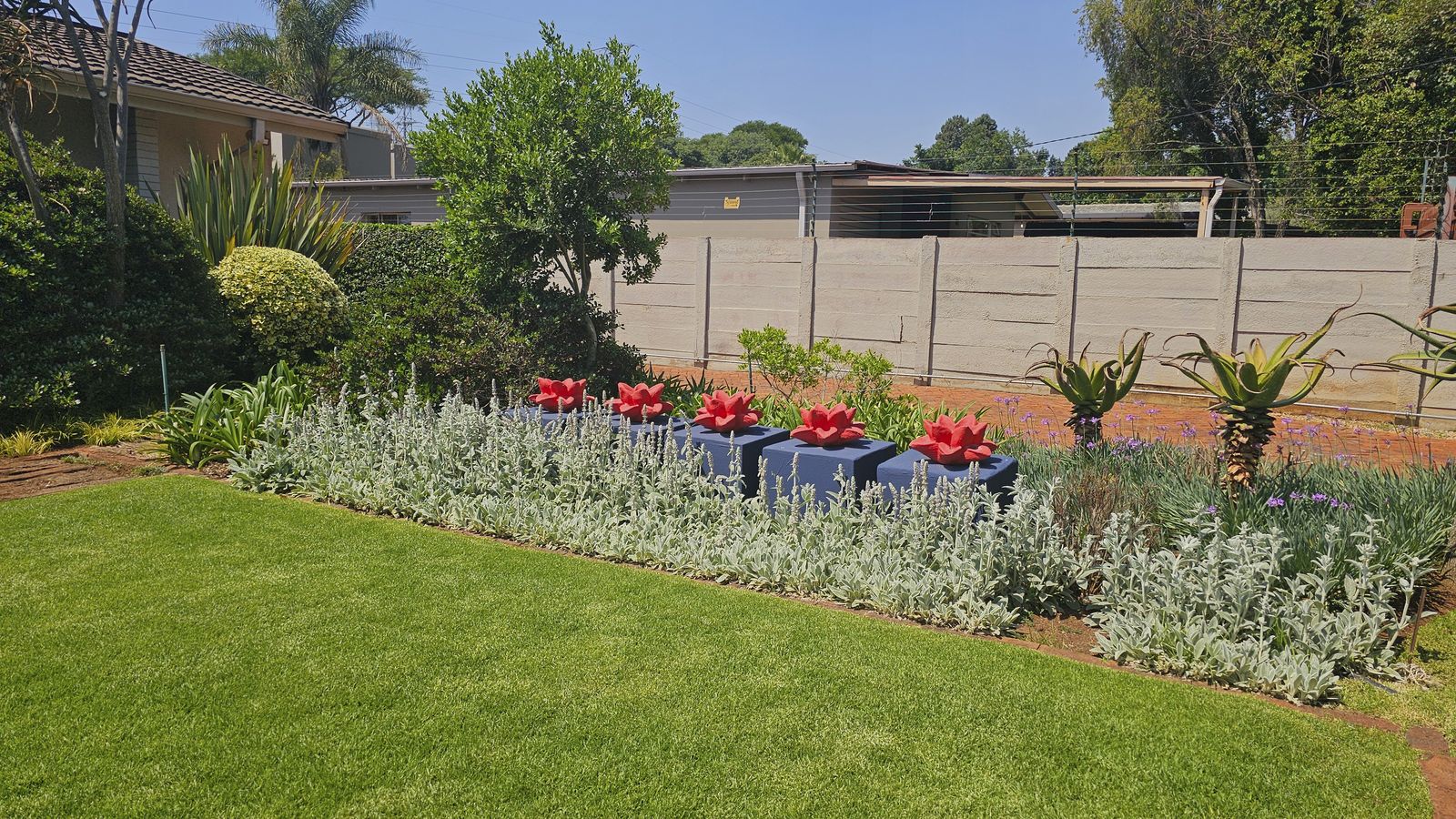 Recent planting